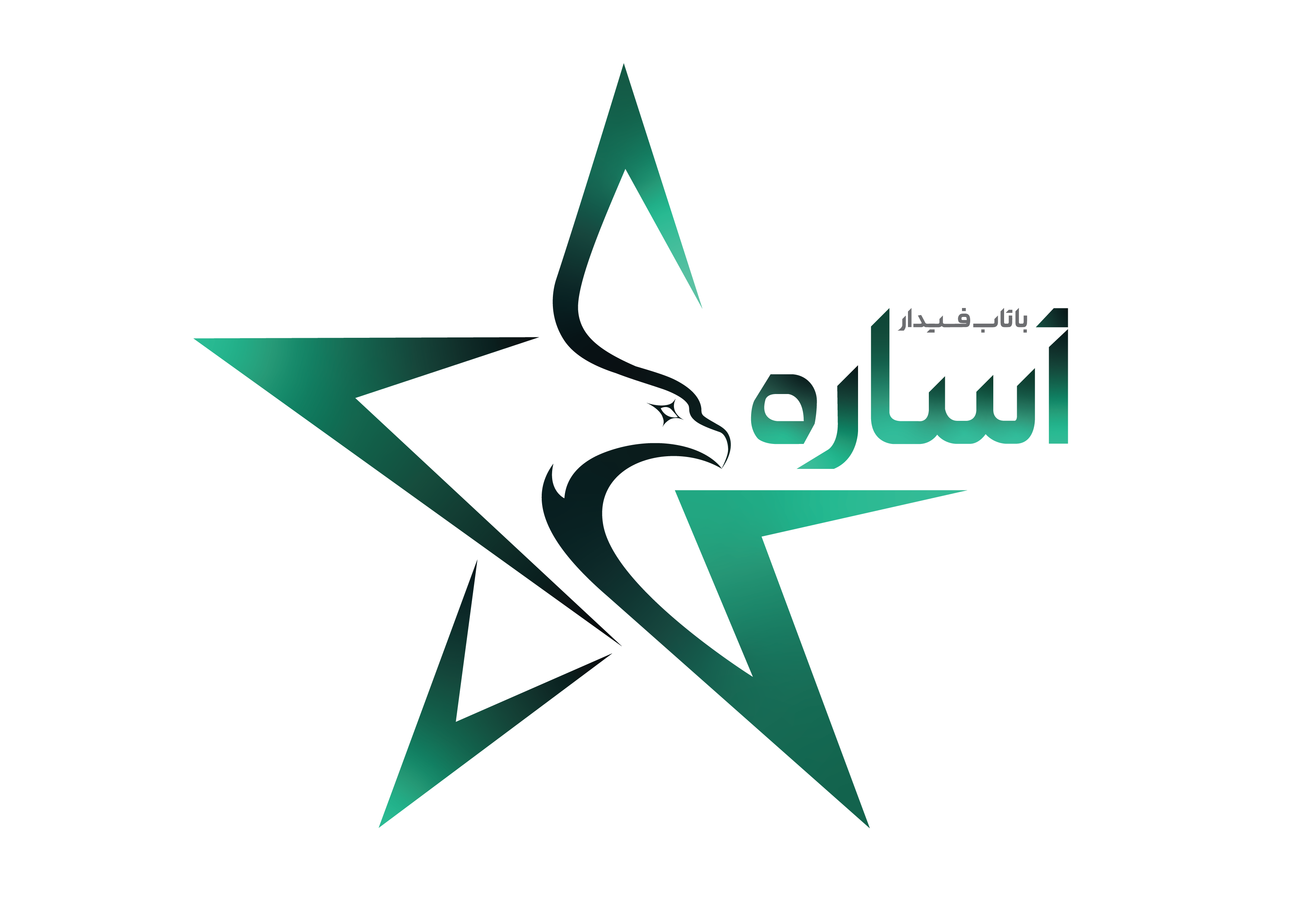 اعضای حقوقی - باتاب فیدار آساره